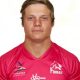 Giovan Snyman rugby player