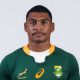 Damian Willemse rugby player