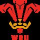 Harry Rees-Weldon rugby player