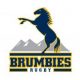 Bonnie Brewer rugby player